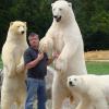 Ours blancs