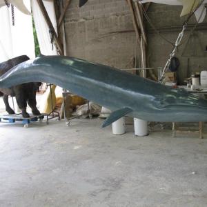 Baleine bleue (1/8 de sa taille réelle)