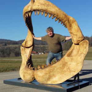 Mâchoire de Mégalodon